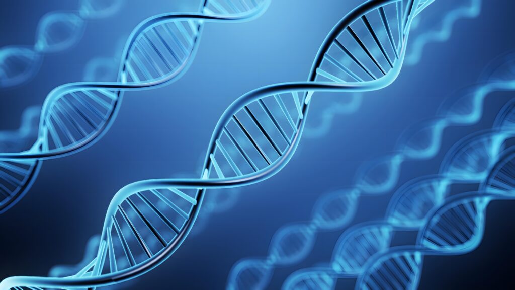 妊娠線ができやすい遺伝子だから